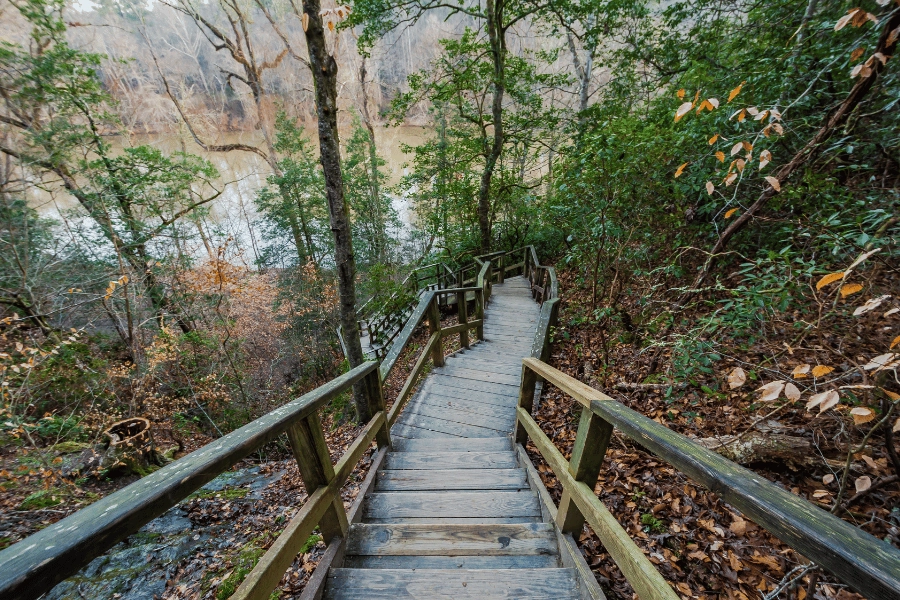 15 Best Things To Do in Angier, NC