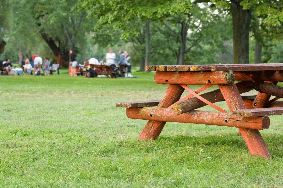 10 Best Picnic Spots in Raleigh