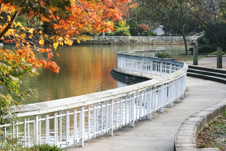 Pullen Park in the fall with colorful leaves in Raleigh, NC