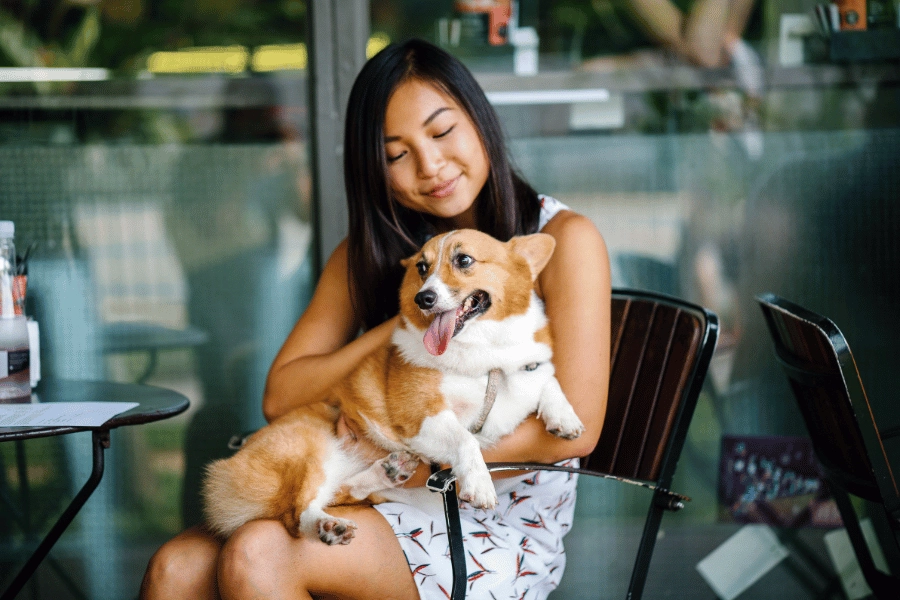 10 Dog-Friendly Restaurants in Raleigh, NC