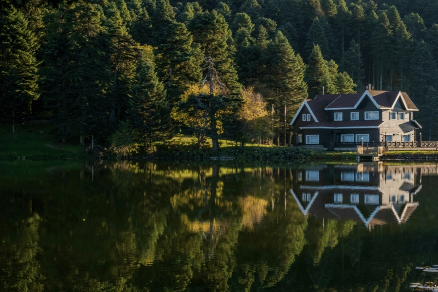 secluded lakefront home surrounded by tall trees