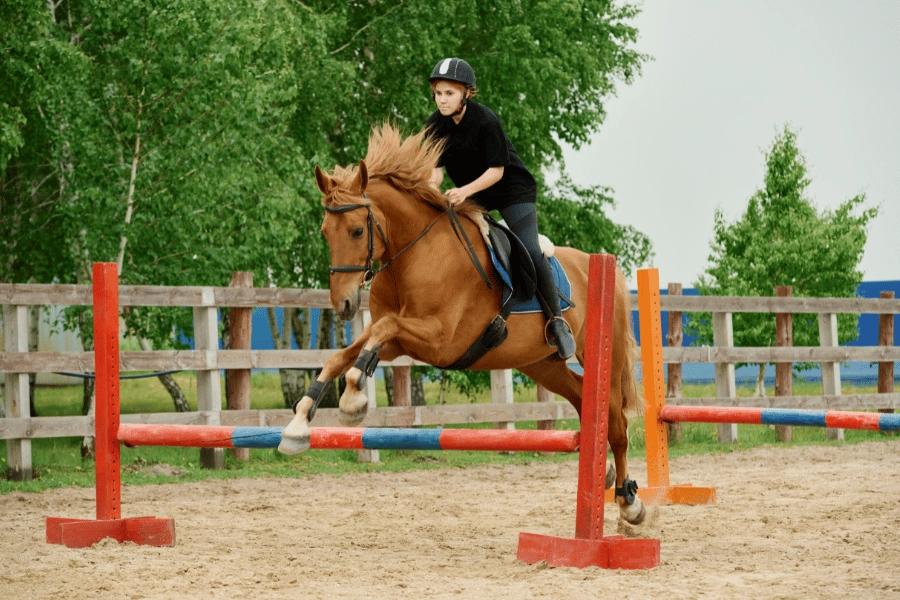 young girl riding a horse and jumping over hurdle