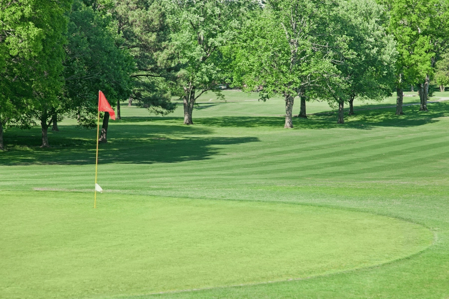 golf course community surrounded by mature trees